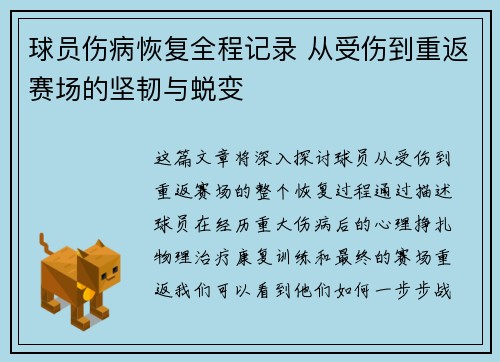 球员伤病恢复全程记录 从受伤到重返赛场的坚韧与蜕变